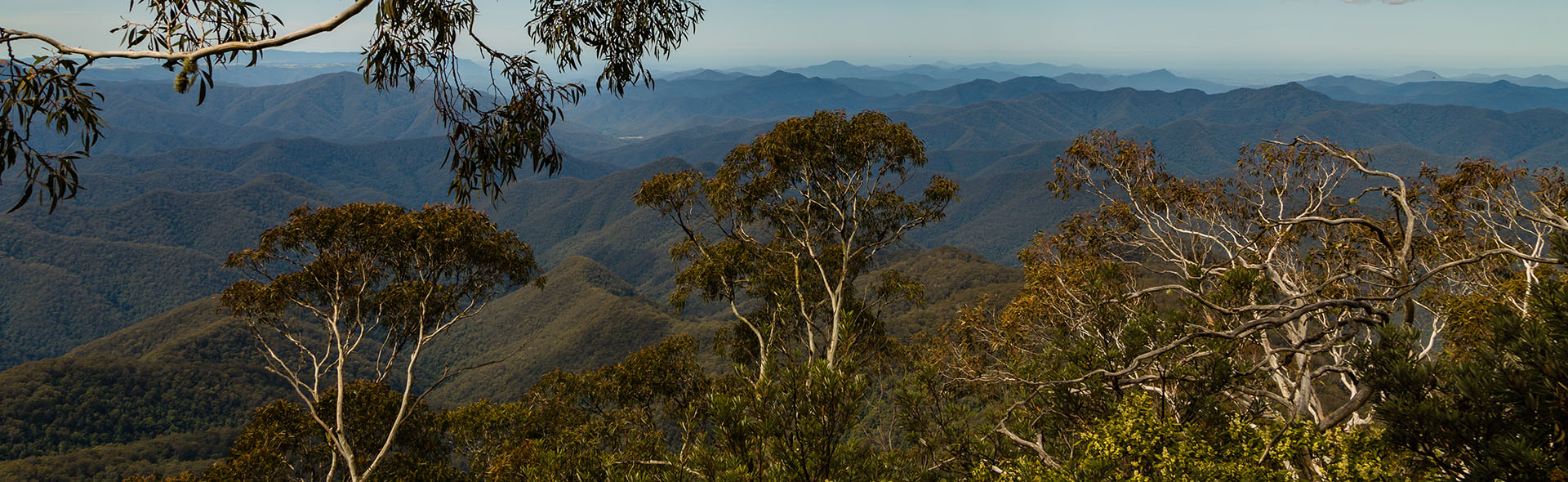 Reduce Packaging - sustainable recyclable